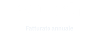 300mlnFatturato